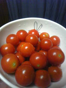 tomato-7-29.jpg