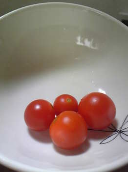 tomato-8-17.jpg
