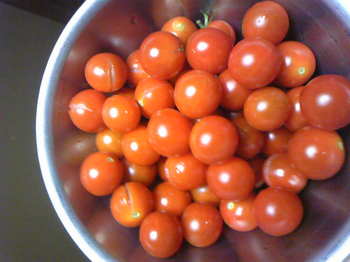 tomato7-21.jpg