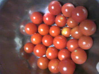tomato7-27.jpg