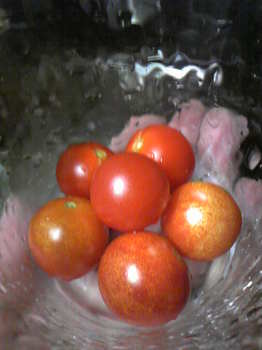 tomato8-31.jpg